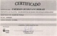 /album/certificados1/a6-jpg1/